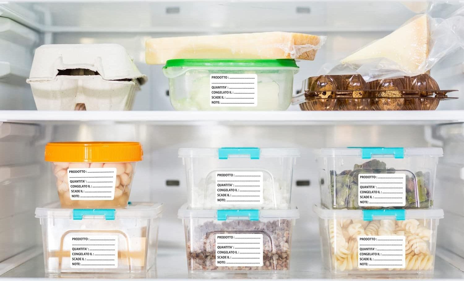 Contenitori etichettati nel congelatore con date di scadenza visibili